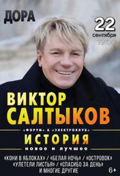 Виктор Салтыков