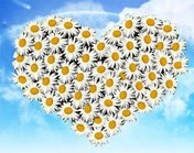 День семьи, любви и верности