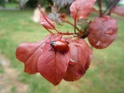 «Мир в объективе»