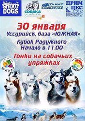 Гонки на собачьих упряжках