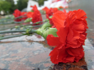 Возложение цветов к мемориалу воинам на площади Победы