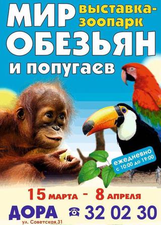 Выставка обезьян и попугаев