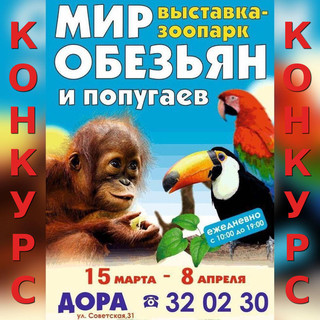 Выиграй пригласительный билет в «Мир обезьян и попугаев»!