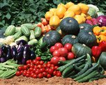 Уссурийские овощи отправятся на Сахалин, Камчатку и в Магадан