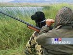 В Приморье открывается охотничий сезон на водоплавающую дичь