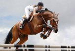 Соревнования по конному спорту прошли в Уссурийске