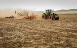 Поля в районе Уссурийска в этом году вместо морковки и капусты засеют зерновыми