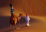 Сотрудником Google стал верблюд