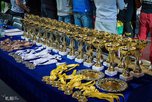 Во Владивостоке определили 12 победителей Кубка Приморского края по ММА