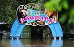 Пострадавшие от наводнения звери из зоопарка Уссурийска полностью выздоровели - ветеринары