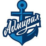 Хоккейный клуб «Адмирал» проведет мастер-классы в Уссурийске