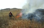 Десять лесных пожаров ликвидировали за сутки в Приморье