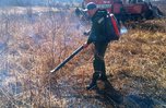 Более 100 человек задействовано в тушении лесных пожаров в Приморье