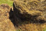 Мужчина погиб при заготовке сена в Приморье