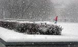 Весна в Приморье начнется с мощнейшего снегопада
