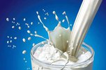 Молочная продукция Уссурийска соответствует всем требованиям ГОСТа