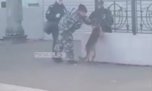 Полицейских Уссурийска привлекут за издевательство над служебной собакой