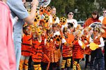 В Уссурийске в День тигра соберут огромный пазл