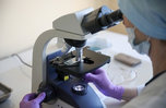 В Приморье есть тест-системы, способные определить коронавирус за 4 часа