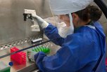Первые заболевшие коронавирусом во Владивостоке: лаборатория подтвердила заражение
