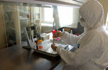 Число заболевших коронавирусом в Приморье превысило 400 человек