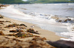 Пляжи закроют из-за коронавируса в Приморье