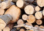 Купить дрова по льготной цене могут жители Уссурийска