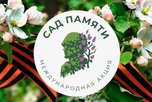 В Уссурийске пройдет акция «Сад памяти», посвященная 80-летию Победы
