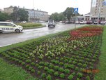 Красота в городе: в Уссурийске продолжается уход за растениями