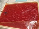 Милиция изъяла почти 2 тонны красной икры, предназначенной для вывоза в КНР