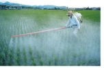 В Приморье пресечено применение партии запрещённых пестицидов иностранного производства