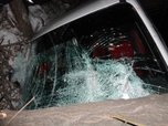 В Уссурийске пьяная автомобилистка врезалась в дерево