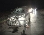 Смерть пешехода на Новоникольском шоссе: личность погибшего установить не могут