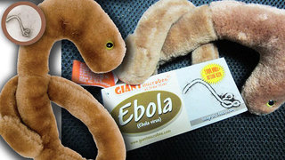 Люди встают в очереди за плюшевыми вирусами Эбола