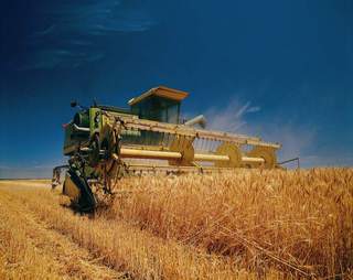 Уборка ранних зерновых заканчивается в Уссурийском городском округе