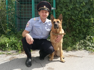 Автомобильного вора из Уссурийска помогла задержать служебная собака