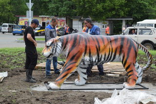 Уссурийский тигр поселился на транспортном кольце около ж/д вокзала