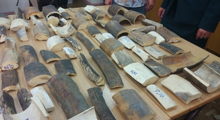 67 фрагментов бивней мамонта передала в музей Уссурийская таможня