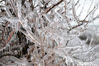 Синоптики заговорили о повторении ледяного дождя в Приморье