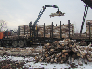 Более 20 кубометров лесоматериалов задержали уссурийские таможенники при попытке незаконного вывоза в Китай