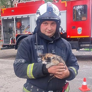 Плюс одна жизнь: огнеборцы спасли котёнка в Уссурийске