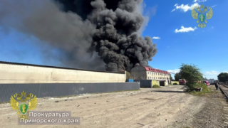 Уссурийская городская прокуратура организовала проверку по факту пожара в районе «Китайского рынка»