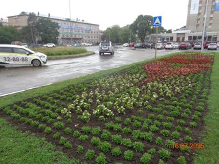 Красота в городе: в Уссурийске продолжается уход за растениями