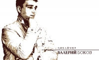 Частный дизайнер Валерий Боков